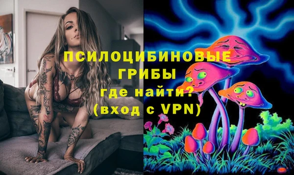 не бодяженный Алзамай
