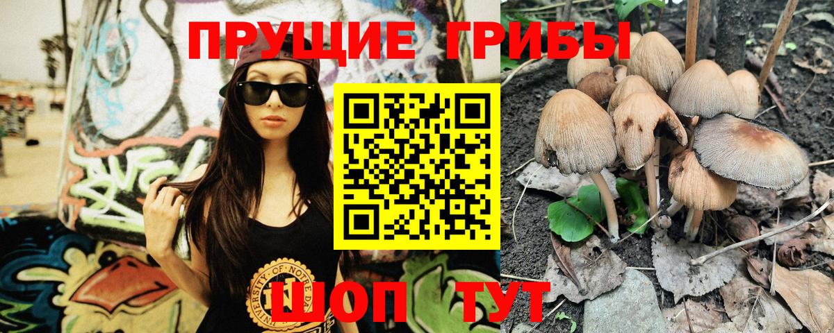 Псилоцибиновые грибы MAGIC MUSHROOMS Железноводск