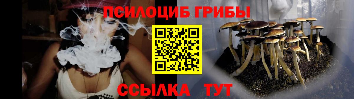 Псилоцибиновые грибы мицелий  Вход с VPN  Галлюциногенные грибы прущие грибы  Железноводск 